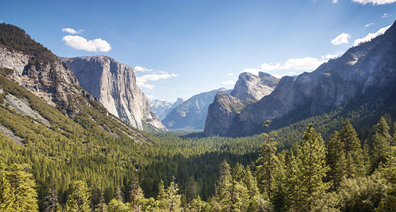 Yosemite National Park