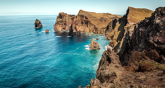 Madeira: het bloemeneiland