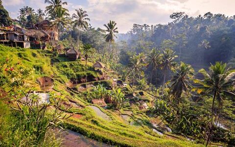 10 daagse fly drive Bali Strand & Cultuur