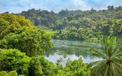 16 daagse fly drive Suriname Compleet