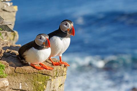 8 daagse fly drive Rondje IJsland