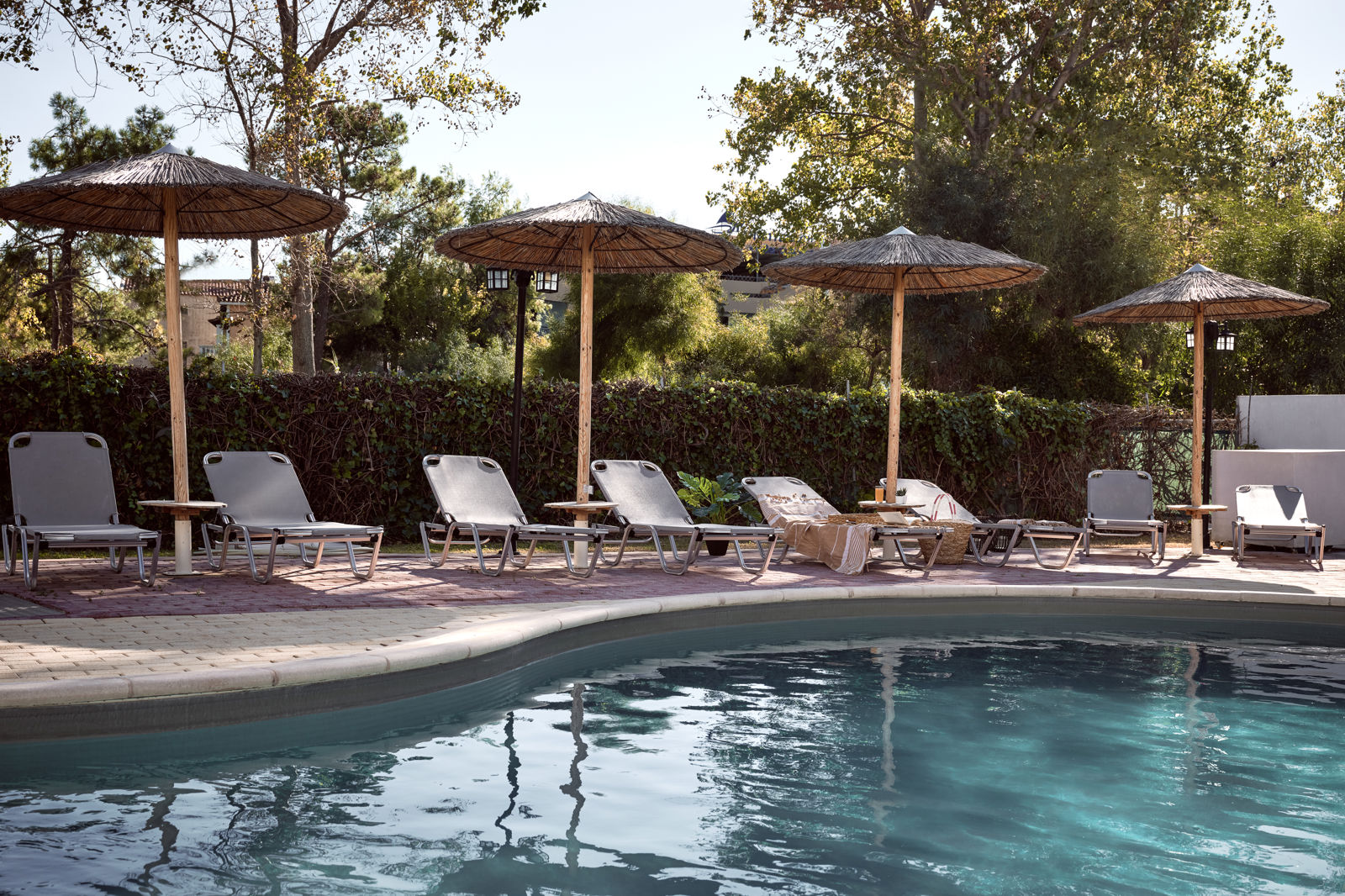 Fly & Go Nemesis Studio's