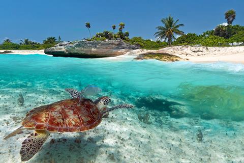 Fly drive Mexico Cancun