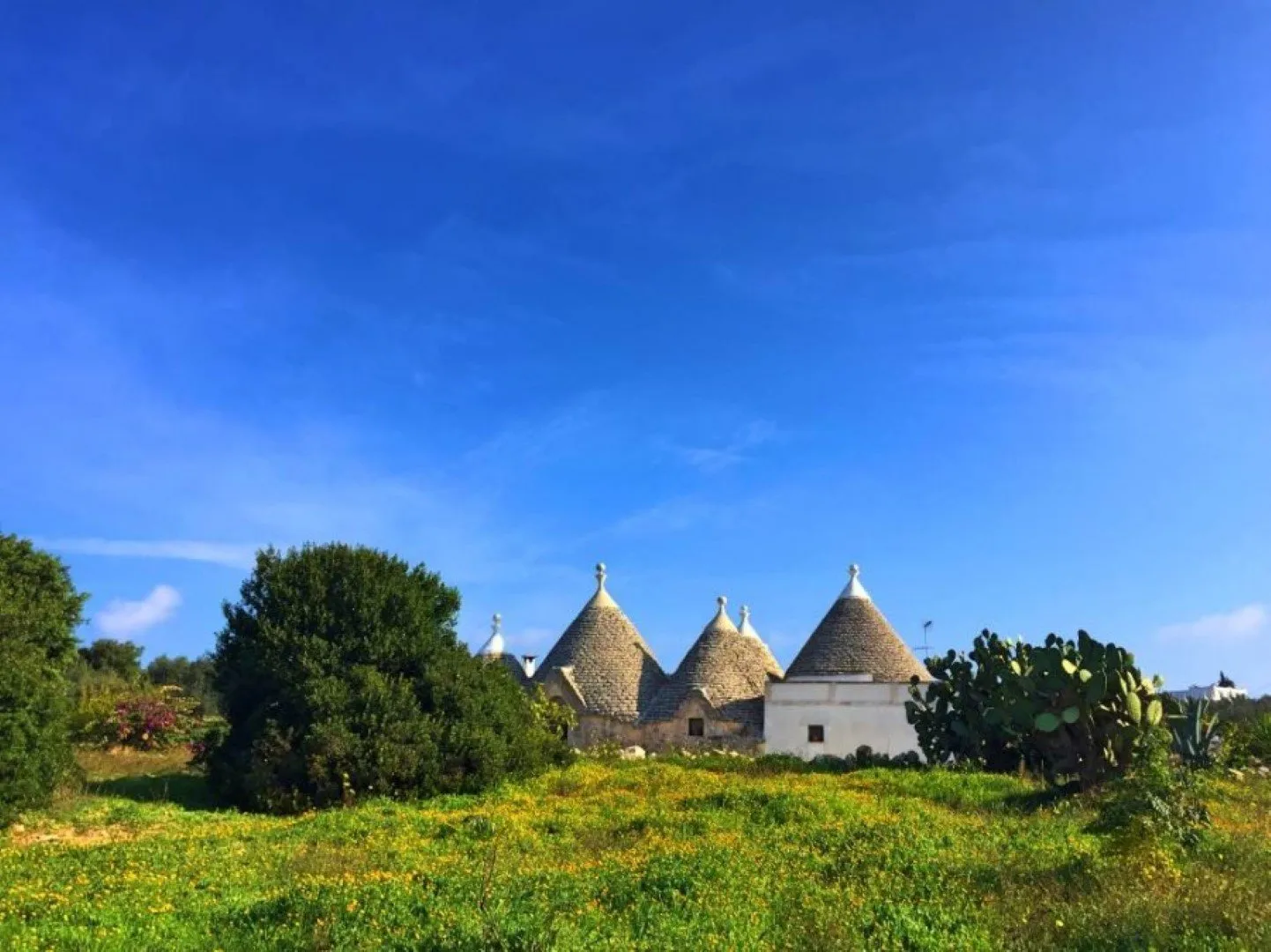 Fly-drive Ontdek Puglia 11 dagen