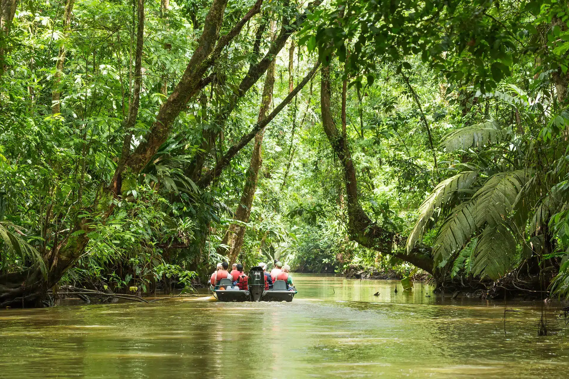 Costa Rica compleet