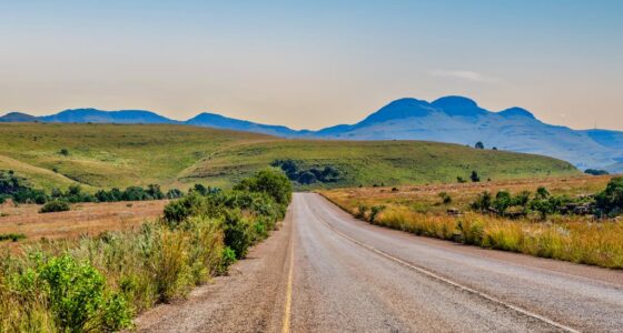 16 daagse reis Zuid Afrika Drive & Connect