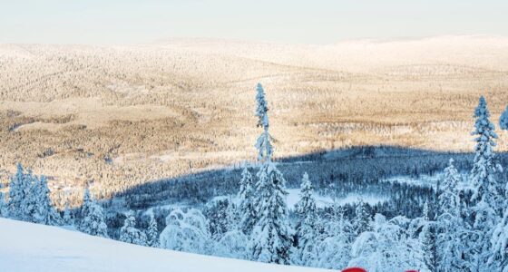 8 daagse fly drive Zweeds winter wonderland