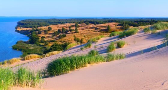 14 daagse fly drive Baltische Staten