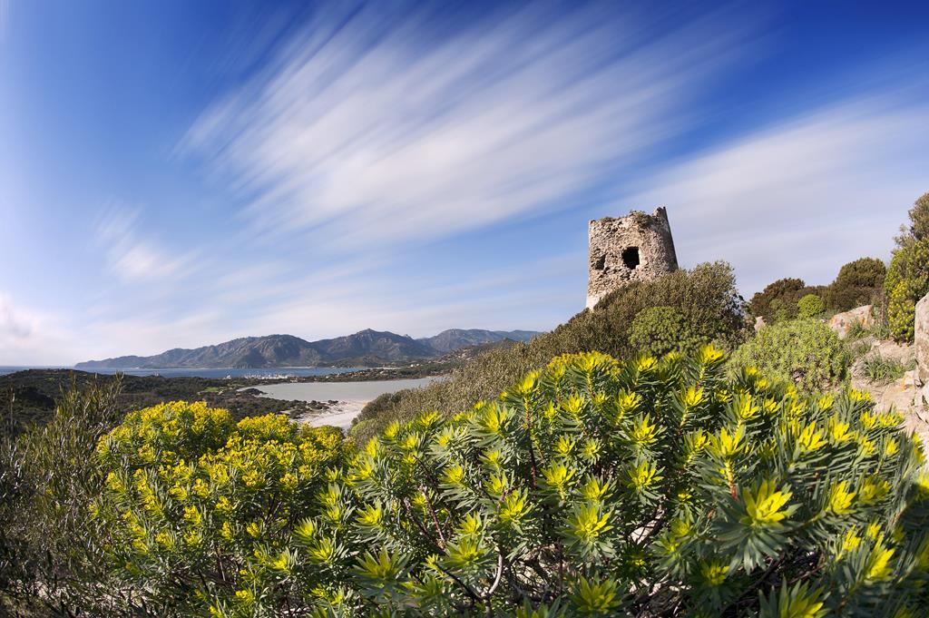 8 daagse fly drive Charme van Malta